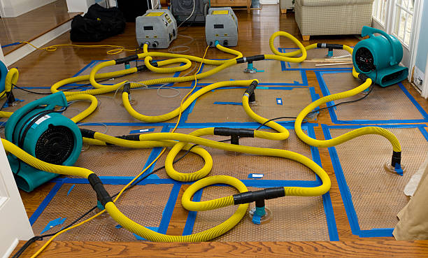 Professional Crawl Space Water Removal technician working in Beaverdam, OH